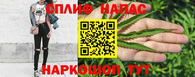 сатива Кулебаки