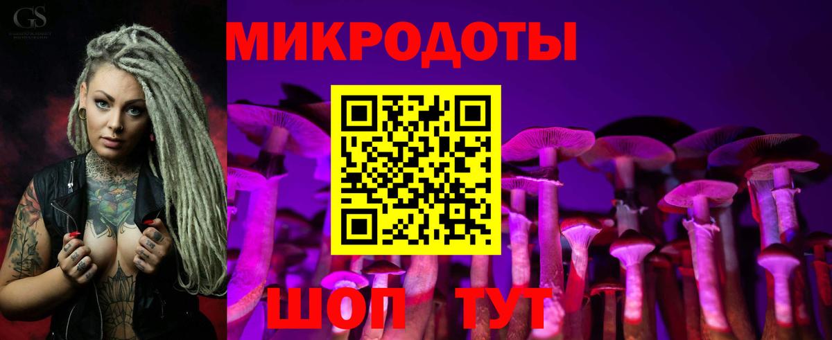 магазин    Вход с VPN  Химки  Псилоцибиновые грибы GOLDEN TEACHER 
